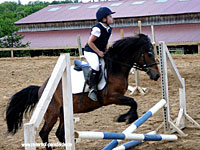 Reiterhof Pansfelde bei Meisdorf und Burg Falkenstein