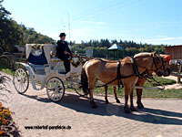 Reiterhof Pansfelde bei Meisdorf und Burg Falkenstein