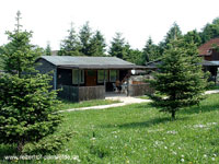 Reiterhof Pansfelde bei Meisdorf und Burg Falkenstein