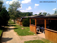 Reiterhof Pansfelde bei Meisdorf und Burg Falkenstein